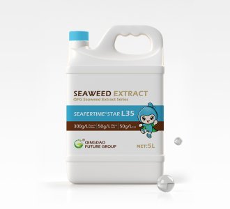 SeaferTime® Star L35 